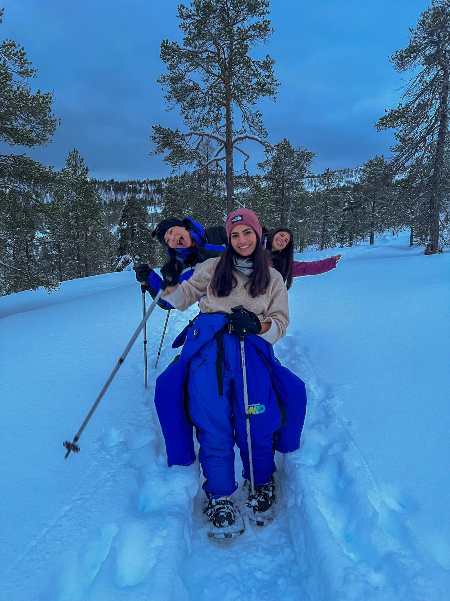 Norwegian Wild Villa Brygghaugen ภายนอก รูปภาพ